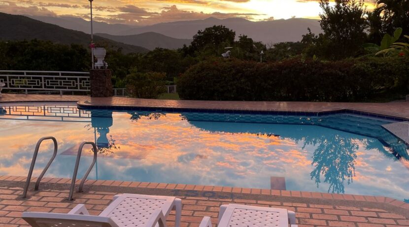 16e23376-9c09-406b-9552-cad63cc5d8ee