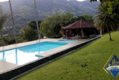 Finca 00547