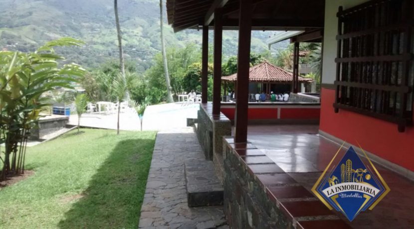 Finca 00547