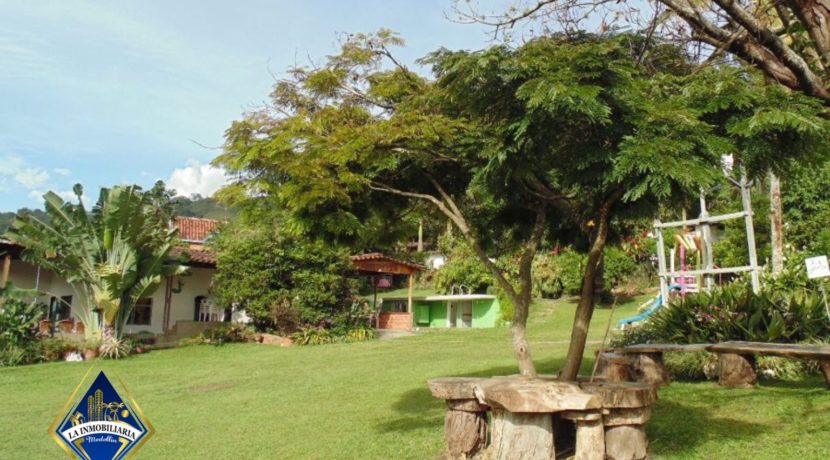 Finca 00348