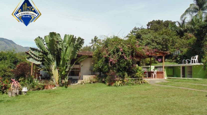 Finca 00348